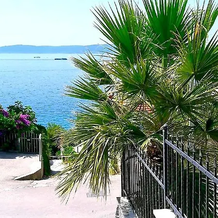 Anita Trogir